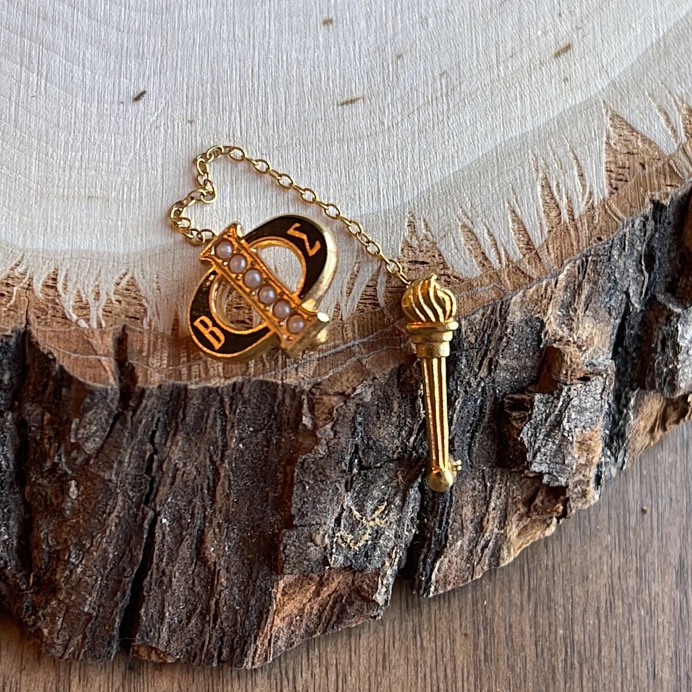 Phi Beta Epsilon pin brooch fraternity vintage black gold tone torch
